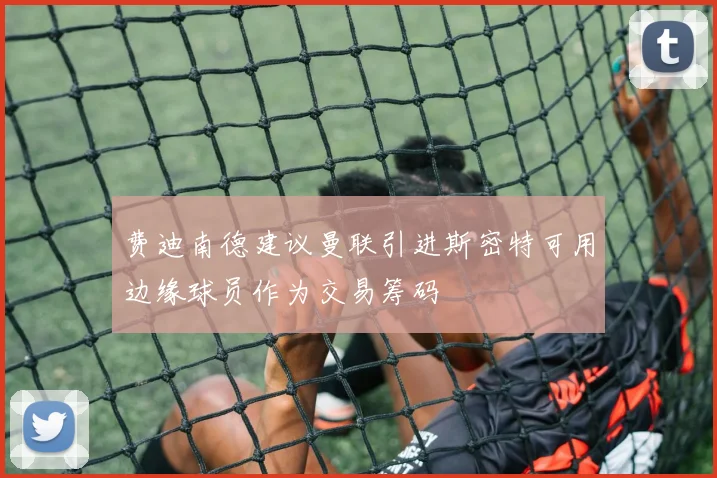 费迪南德建议曼联引进斯密特可用边缘球员作为交易筹码